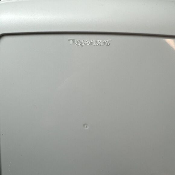 Vintage Tupperware Bentgo Set with Cariolier Handle, Plates, Seals Grey and Blue - Picture 4 of 13